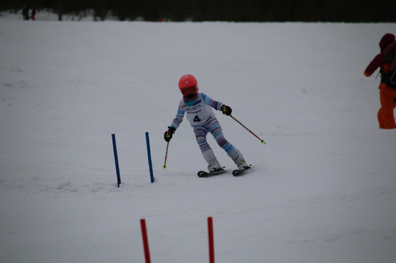 20190209_110247_3334