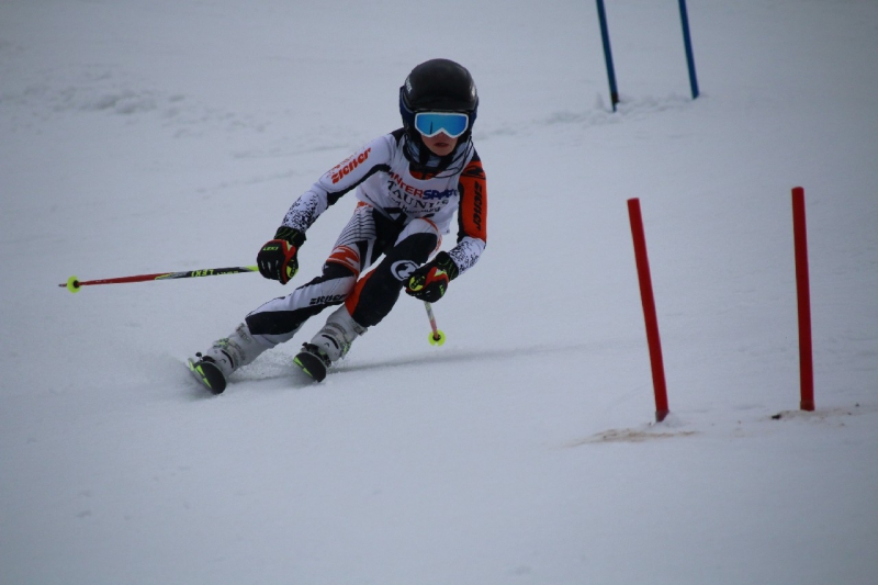 20190209_113426_3464