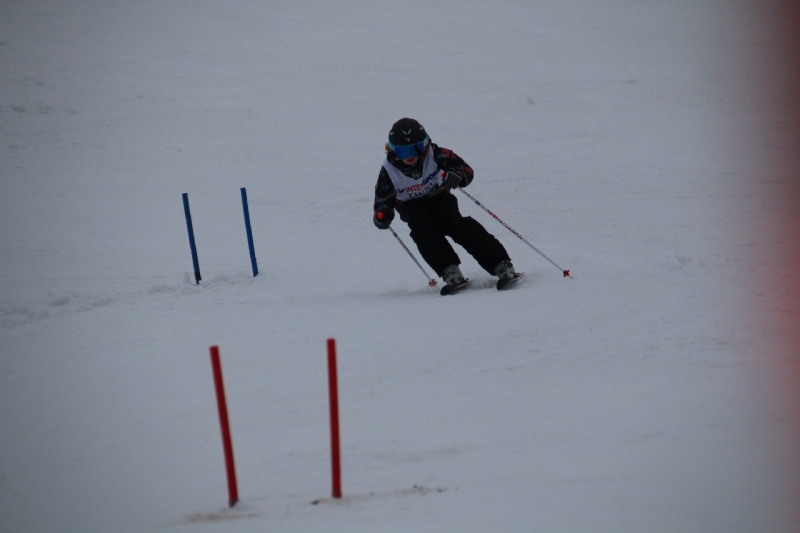 20190209_114005_3491