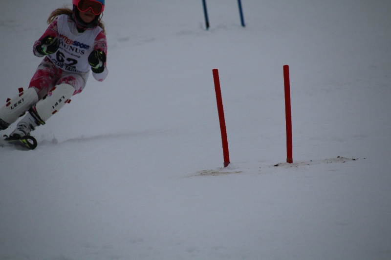 20190209_114606_3509