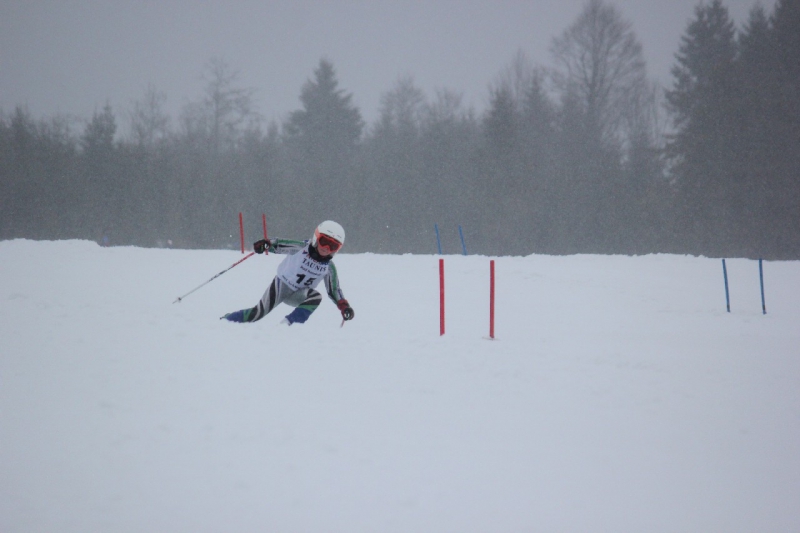 20190209_134908_7156