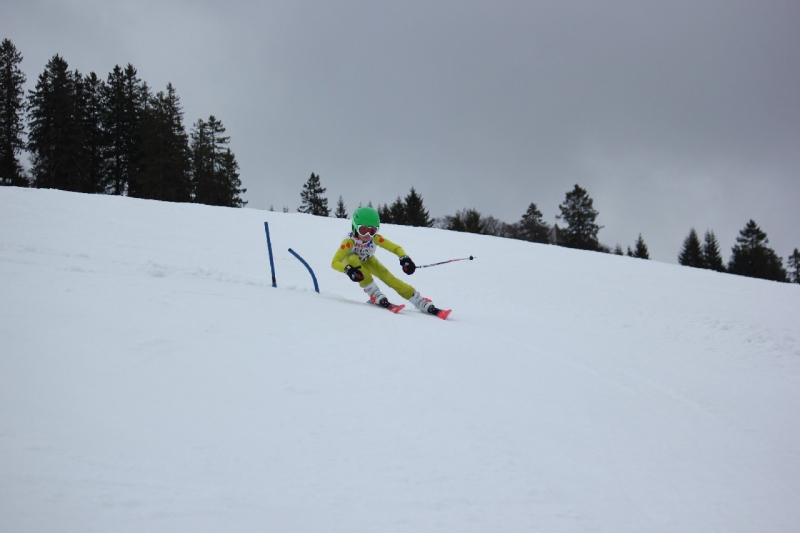 20190209_141032_7276