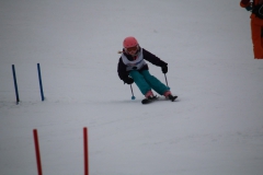 20190209_110208_3329