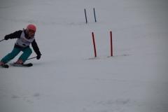20190209_110210_3330
