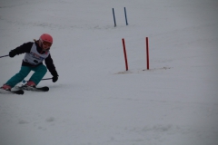 20190209_110210_3331