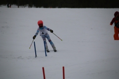 20190209_110246_3333