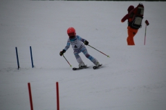 20190209_110248_3335