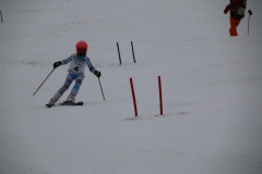 20190209_110248_3336