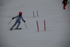 20190209_110248_3337