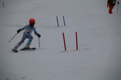 20190209_110248_3338