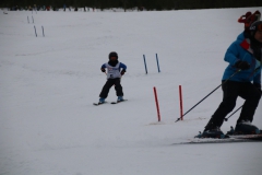 20190209_110354_3341