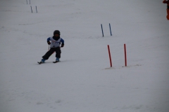 20190209_110354_3343