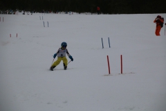20190209_110448_3347