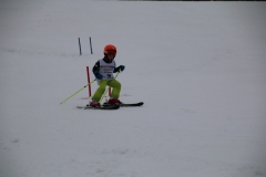 20190209_110542_3350