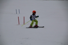 20190209_110542_3351
