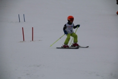 20190209_110543_3352