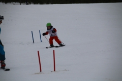 20190209_110647_3353