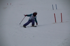 20190209_110830_3357