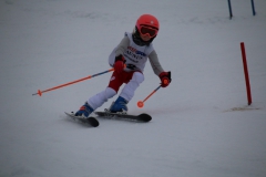 20190209_111126_3361