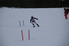20190209_111516_3369