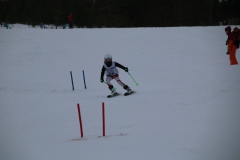 20190209_111517_3370