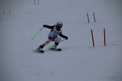 20190209_111518_3372