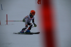 20190209_111552_3377
