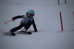 20190209_111718_3385