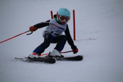 20190209_111718_3387