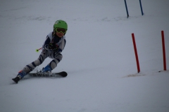 20190209_111829_3393