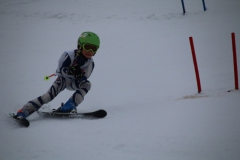 20190209_111830_3394