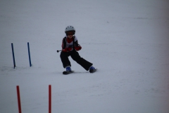 20190209_111948_3395