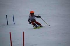 20190209_112437_3414
