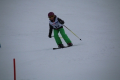 20190209_112638_3427