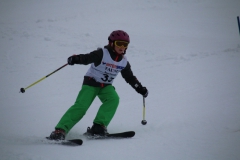 20190209_112641_3429