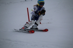 20190209_112711_3434