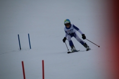 20190209_113352_3460