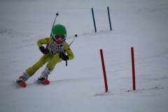 20190209_113510_3469