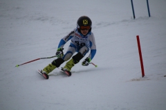 20190209_113639_3477