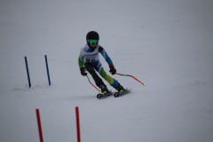 20190209_114130_3495