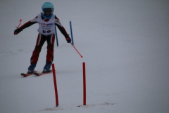 20190209_114212_3498