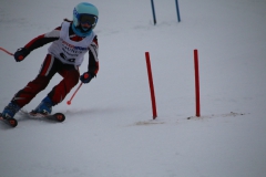20190209_114214_3499