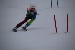 20190209_114424_3501