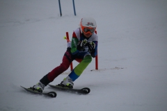 20190209_114424_3503