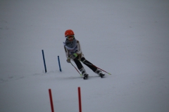 20190209_114534_3505