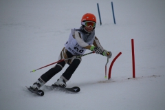 20190209_114535_3507