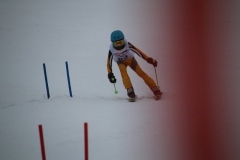 20190209_114815_3521