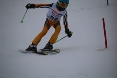 20190209_114816_3522