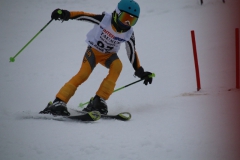 20190209_114816_3523