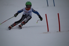 20190209_114916_3528